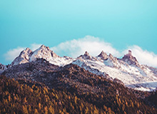 kaiyun:跨越云端的生活美学与商业新风尚